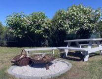 tree, outdoor, grass, bench, sky, park, ground, plant, furniture, picnic