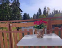 tree, table, vase, outdoor, flowerpot, houseplant, furniture