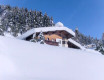 sky, outdoor, snow, nature, skiing, tree, house, hill