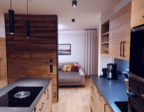a kitchen with wooden cabinets and a wood floor