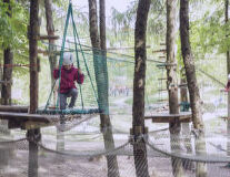 tree, outdoor, playground, person