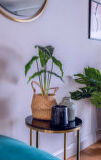 wall, indoor, houseplant, vase, flowerpot, plant