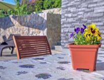 outdoor, flowerpot, flower, houseplant