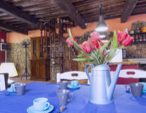 vase, tableware, flower, flowerpot, indoor, houseplant