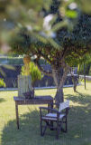 tree, grass, outdoor, bench, furniture, table, playground, chair