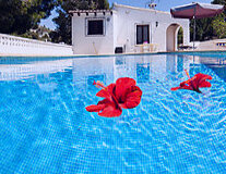 outdoor, swimming pool