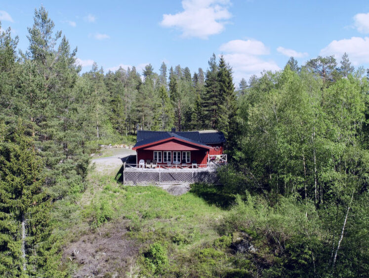 Holiday Home Hustjønn (TEM022)