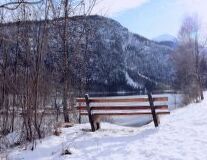 a wooden bench sitting on top of a snow covered park