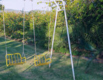 tree, playground, grass, outdoor, park, swing