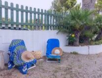 furniture, chair, outdoor, bench, plant
