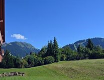 a large green field with a mountain in the background