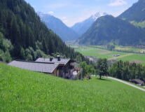 a view of a lush green hillside
