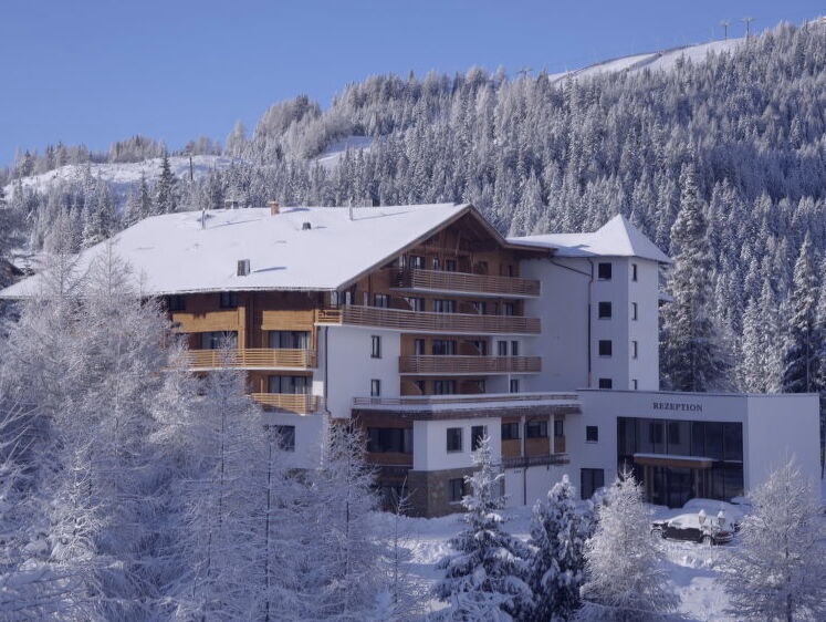 Holiday Apartment Katschberg Alpenhaus L / SML502