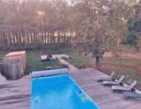 tree, outdoor, ground, swimming pool, water
