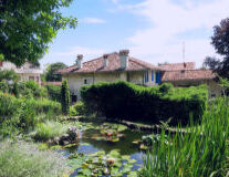 a house with a pond in a garden