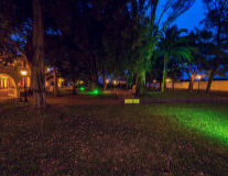tree, grass, outdoor, light, street light