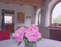 a vase filled with pink flowers on a table