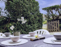 tree, table, outdoor, flower, tableware, vase, plate, flowerpot, furniture