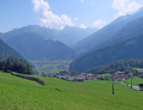 a large green field with a mountain in the background