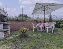 grass, sky, outdoor, flower, plant, furniture, chair, umbrella, table