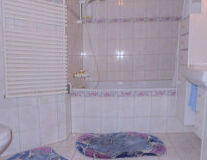 indoor, sink, bathtub, plumbing fixture, shower