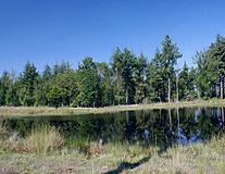 a pond surrounded by green grass and trees