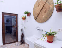 houseplant, flowerpot, wall, vase, indoor, plant, living