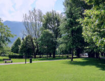 a person standing on a lush green park