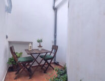 wall, chair, table, indoor, houseplant, floor, flowerpot, coffee table