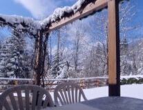 tree, outdoor, winter, snow, bridge