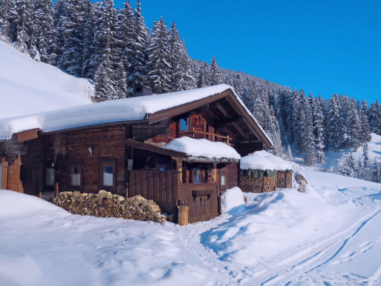 Holiday Home Simonhütte (MHO640)