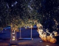 tree, outdoor, light, night