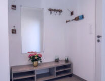 wall, indoor, vase, houseplant, furniture, flowerpot, house