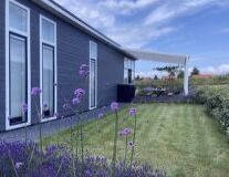 grass, sky, flower, outdoor, house, plant